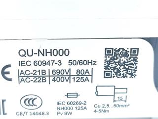 ik-industry/pd/woehner-qu-nh000-nh000-125a-400v-top-zustand-81783-3.jpg