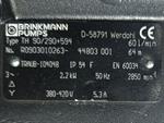 brinkmann-pumps-p-90290594-top-zustand-84147-6.jpg