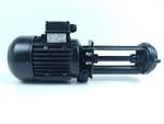 brinkmann-pumps-ts-21190-56028-unused-84142-2.jpg