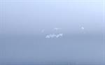 siemens-simatic-panel-pc-477b-6av7462-5aa20-1aa0-tested-77960-5.jpg