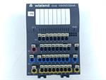 wieland-ricos-4-ai4-ao20ma-8303541101-tested-und-neuwertig-82865-2.jpg