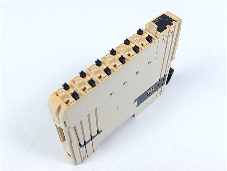 Schneider Electric Modicon SAI2TH TM5SAI2TH + TM5ACBM11 + TM5ACTB12 GEBRAUCHT
